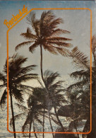 Delcampe - CARTOLINA  "BARBADOS"  VIAGGIATA 1992 - Barbados (Barbuda)