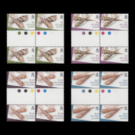 Delcampe - Pitcairn Islands 2004 (MNH) Terebra Shells Gutter Traffic Light Blocks - Pitcairn