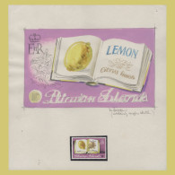 Delcampe - Pitcairn Islands 1982 Lemon Pencil And Watercolour Essay - Pitcairninsel