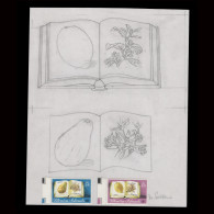 Delcampe - Pitcairn Islands 1982 Fruit Pencil Essays By Daphne Padden - Pitcairninsel