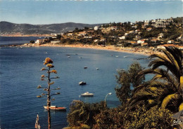 Delcampe - Les Environs Du Lavandou SAINT CLAIR La Plage Vue Des Floralies(SCAN RECTO VERSO)MA0063 - Le Lavandou
