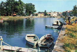 Delcampe - 17 SAUJON LE PORT DE RIBEROU - Saujon