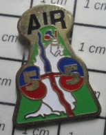 Delcampe - Pin1015c  AIR 55 DEUX REINS ? - Otros & Sin Clasificación