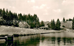 Delcampe - Wald Brilon Strandbad - Brilon