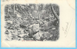 Delcampe - Spa (Pr.de Liège)-écrite En 1902-Promenade Artiste-Petit Pont Rustique-cachet "Spa-1902" +timbre - Spa