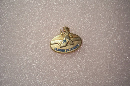 Delcampe - PIN'S   -   HUISSIER De JUSTICE - Medios De Comunicación