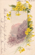 Delcampe - K0814 - KLEIN C.  Fleurs Jaunes Encadrant Paysage - Meissner & Buch 1130 - Klein, Catharina