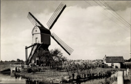 Delcampe - CPA Hollandsch Molenlandschap, Niederländische Windmühle - Molinos De Viento