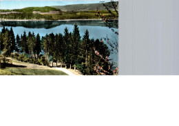 Delcampe - Le Lac De Paladru Charavines - Le Bois D'Amour - Charavines