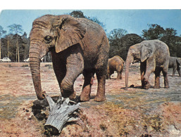 Delcampe - 78-THOIRY EN YVELINES-N°4148-A/0149 - Thoiry