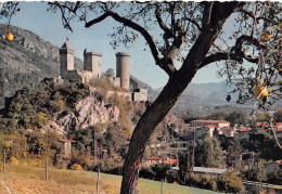 Delcampe - 09-FOIX-N°4150-C/0365 - Foix