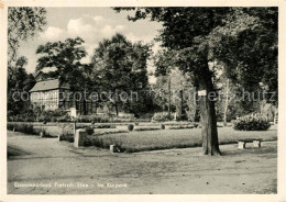 Delcampe - Pretsch Bad Schmiedeberg Kurpark - Bad Schmiedeberg