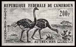 Delcampe - 92878 Cameroun PA N°55 Autruche Ostrich Autruches Essai Proof Non Dentelé ** (MNH Imperf) - Struzzi