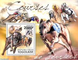 Delcampe - Togo 2011 Dog Races S/s, Mint NH, Nature - Dogs - Togo (1960-...)
