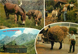 Delcampe - Carte Postale - Animaux - Anes - Les Montagnards - Multivues - Donkeys - Burros - Esel - Asini - CPM - Flamme Postale De - Ezels