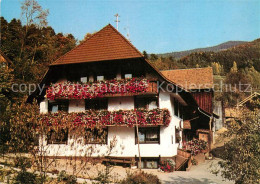 Delcampe - Bleibach Trenklehof - Gutach (Breisgau)