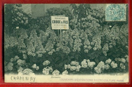 Delcampe - 3151 - CHATENAY MALABRY - PEPINIERES CROUX ET FILS - Chatenay Malabry