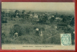 Delcampe - 3155 - CHATILLON - PANORAMA DIT LE DAHOMEY - Châtillon