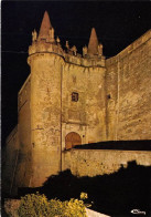 Delcampe - GRIGNAN La Porte Monumentale Du Chateau De Grignan Vue De Nuit 3(scan Recto-verso) MA1563 - Grignan