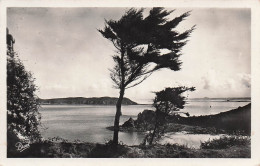 Delcampe - 22 PERROS GUIREC ILE TOME ET POINTE DU CHATEAU - Perros-Guirec