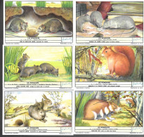 Delcampe - GF1453 - SERIE LIEBIG - RONGEURS - ECUREUIL HAMSTER SOURIS RAT NOIR MULOT LAPIN - Liebig