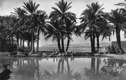 Delcampe - Algeria Biskra Bord De L'Oued RPPC Vintage Postcard B937 - Otros & Sin Clasificación