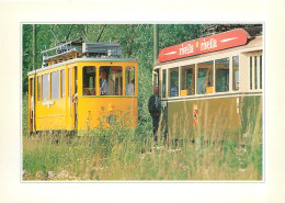 Delcampe - CPM Promenade Originale Sur La Berge De La Deule - Eisenbahnen