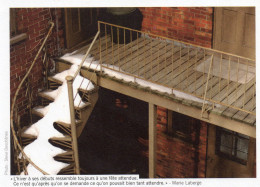 Delcampe - CPM - CANADA - QUEBEC - L'HIVER A SES DEBUTS RESSEMBLE TOUJOURS A UNE FETE ATTENDUE - M.LABERGE - STEVE DESCHENES - Sonstige & Ohne Zuordnung