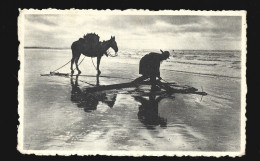 Delcampe - De Panne Garnalenvisser Pecheur De Crevettes Poststempel 1960 De Panne - De Panne
