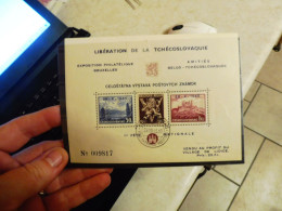 Delcampe - Belgique Belgie  Erinofilie Erinnophilie  1945 E E 50   Perfect Parfait Mh Neuf * - Erinnofilia [E]