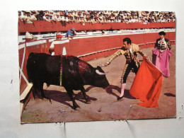 Delcampe - Corrida - Corrida De Toros - Muerte Del Toro - Stierkampf