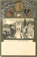 Delcampe - Gruss Aus Sonneberg - Litho - Prägekarte - Sonneberg