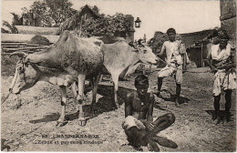 Delcampe - CPA AK Chandernager Zebus Et Paysans Hindous INDIA (1496840) - Indien