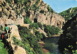 Delcampe - 63 CHATEL GUYON GORGES DE LA SIOULE LE TUNNEL - Châtel-Guyon