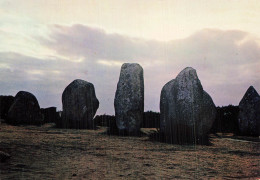 Delcampe - 56 CARNAC ALIGNEMENTS DU MENEC - Carnac