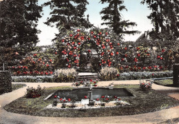 Delcampe - 67-SAVERNE-N°4252-D/0101 - Saverne