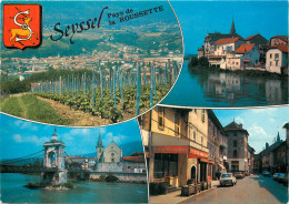 Delcampe - 74  SEYSSEL SUR LE RHONE MULTIVUES - Seyssel