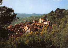 Delcampe - BORMES LES MIMMOSAS Vue Generale 11(scan Recto-verso) MA2143 - Bormes-les-Mimosas