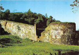 Delcampe - GUYANE FRANCAISE ILE DE CAYENNE Fortt Diamant 28(scan Recto-verso) MA2143 - Cayenne