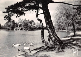 Delcampe - ST MANDE Le Lac Doumesnil 17(scan Recto-verso) MA2140 - Saint Mande