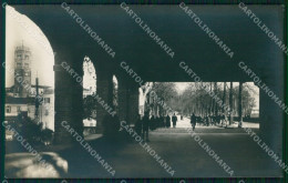 Delcampe - Lucca Città Le Mura Foto Cartolina WX1096 - Lucca