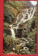 Delcampe - IRELAND  CO KERRY  TORC CASCADE LNWR RAILWAY OFFICAL. VIA HOLYHEAD - Kerry