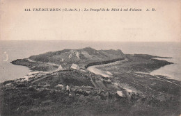 Delcampe - 22 TREBEURDEN LA PRESQU ILE DE BIHIT - Trébeurden