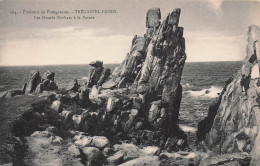Delcampe - 22 TREGASTEL LES GRANDS ROCHERS A LA POINTE - Trégastel