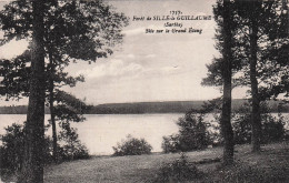 Delcampe - 72 SILLE LE GUILLAUME FORET DE SILLE LE GUILLAUME GRAND ETAN - Sille Le Guillaume