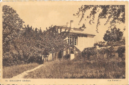 Delcampe - Dieulefit - La Villa La Fontanette - Edition Librairie Vierne - Carte Sépia N° 74 - Dieulefit