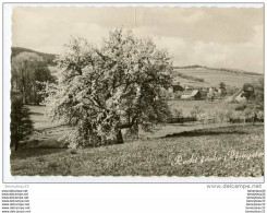 Delcampe - CPA (Réf : R :606) Recht Froché Pdingsten  (ALLEMAGNE) - Pfingsten