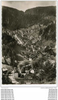 Delcampe - CPA (Réf : R :612) TRIBERG (ALLEMAGNE) - Triberg