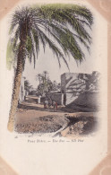 Delcampe - ALGERIE(BISKRA) TIRAGE 1900 - Biskra