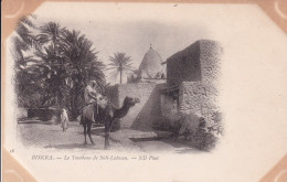 Delcampe - ALGERIE(BISKRA) TIRAGE 1900 - Biskra